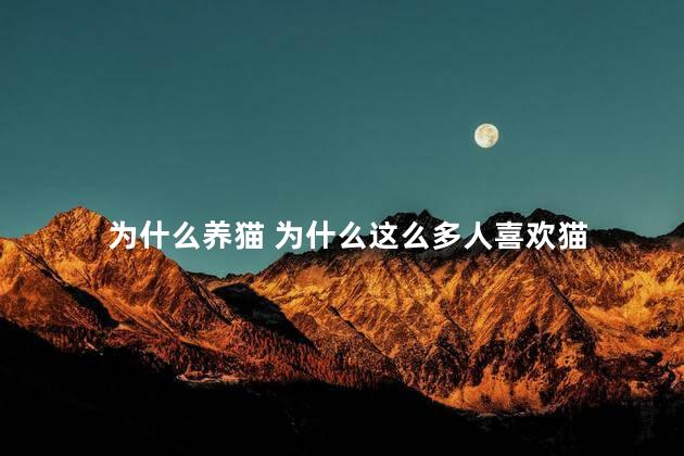 为什么养猫 为什么这么多人喜欢猫